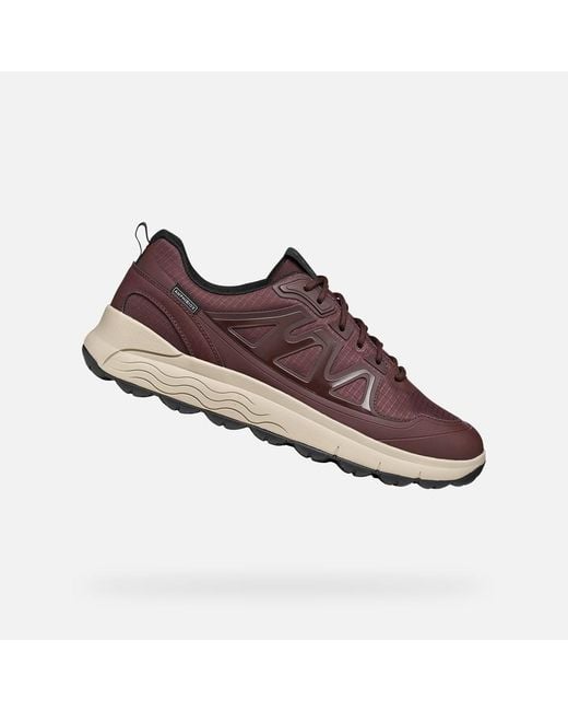 Geox Brown Spherica 4X4 Abx for men