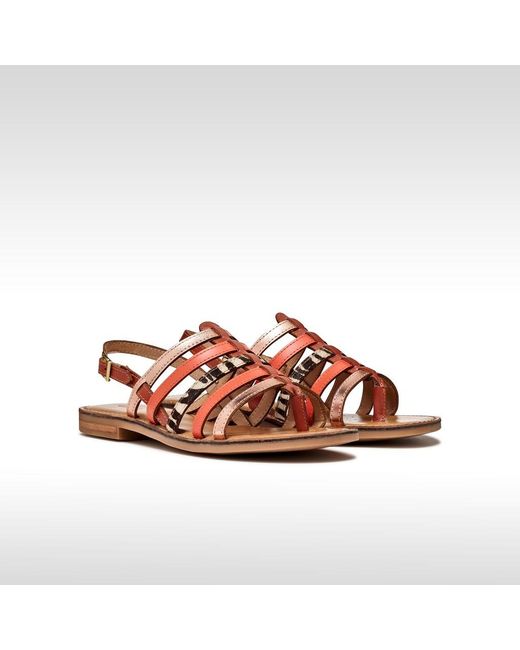 Geox Brown Maddalusia C