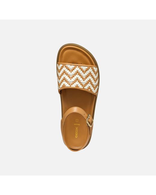 Geox Brown Adelash