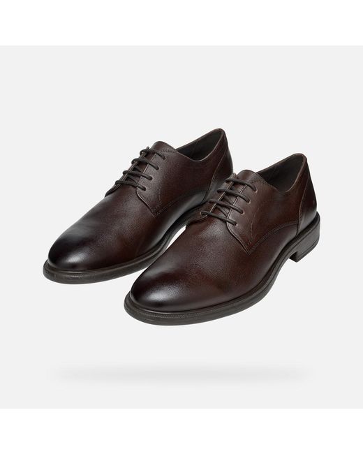 Geox Brown Terence for men