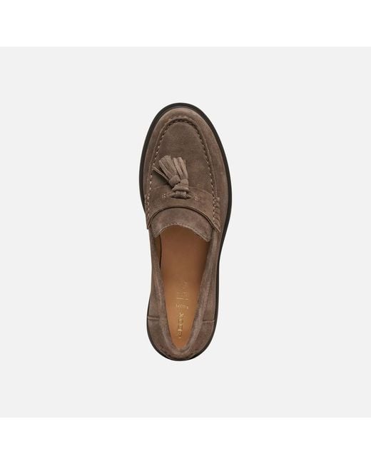 Geox Brown Spherica Ec1 B