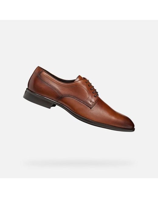 Geox Brown Thalos for men