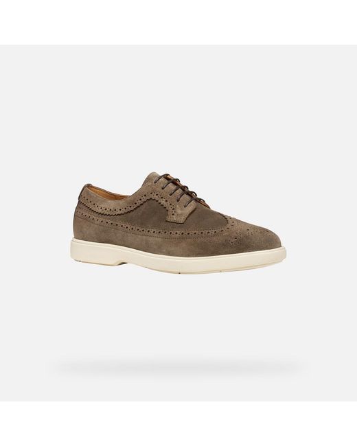 Geox Brown Spherica Ec17 for men