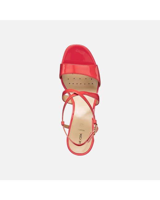 Geox Red New Eraklia 80 T01