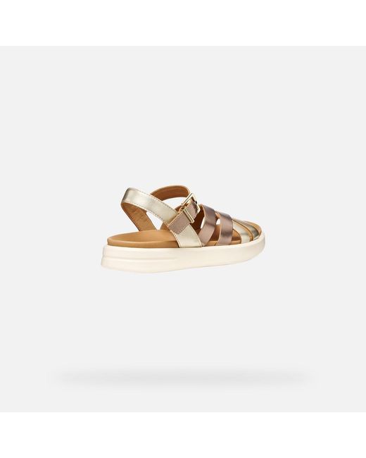 Geox Metallic Xand 2S