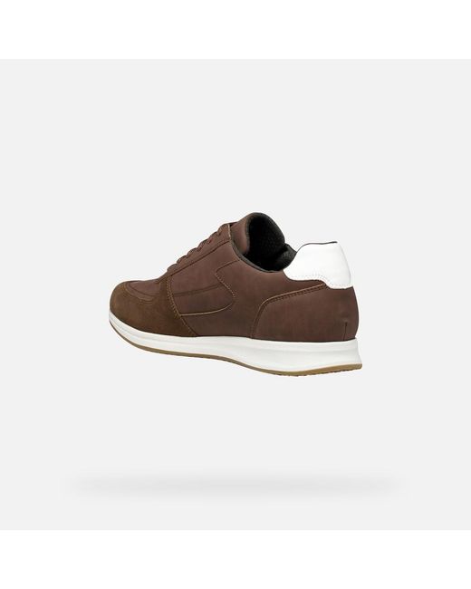 Geox Brown Avery for men