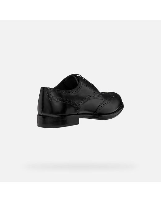 Geox Black Barberigo for men