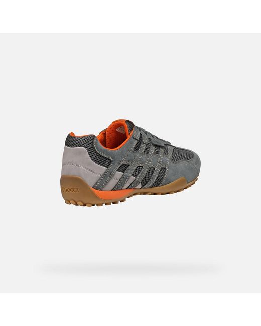 Geox Gray Snake Original for men