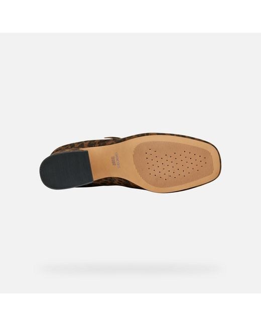 Geox Brown Kalidine