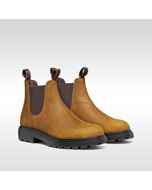 Geox Brown Spherica Ec7 B Ochre/Chocolate for men