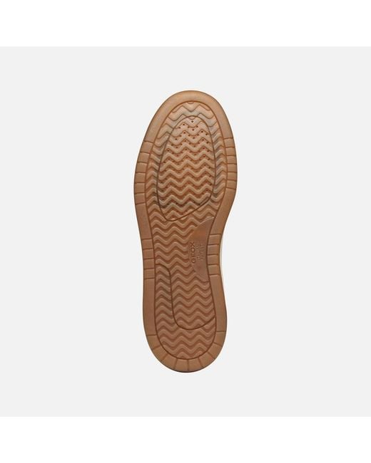 Geox Blue Sedral Court for men