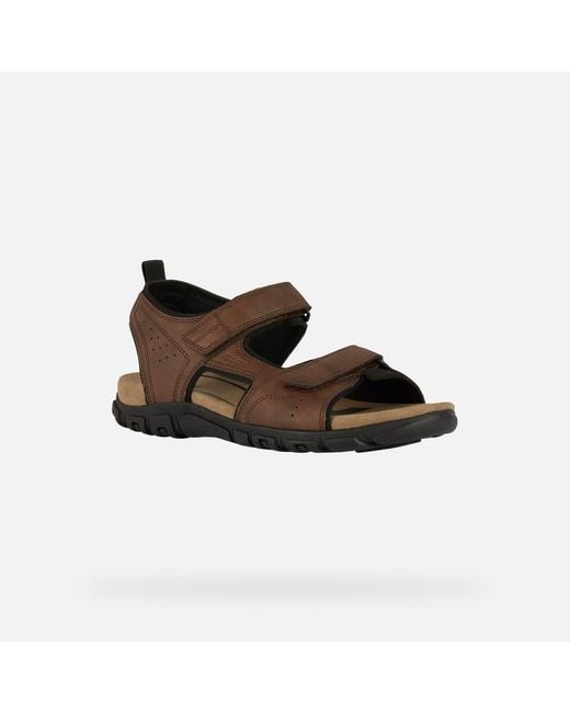 Geox Brown Strada for men