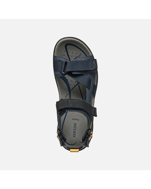 Geox Blue Terreno + Grip for men