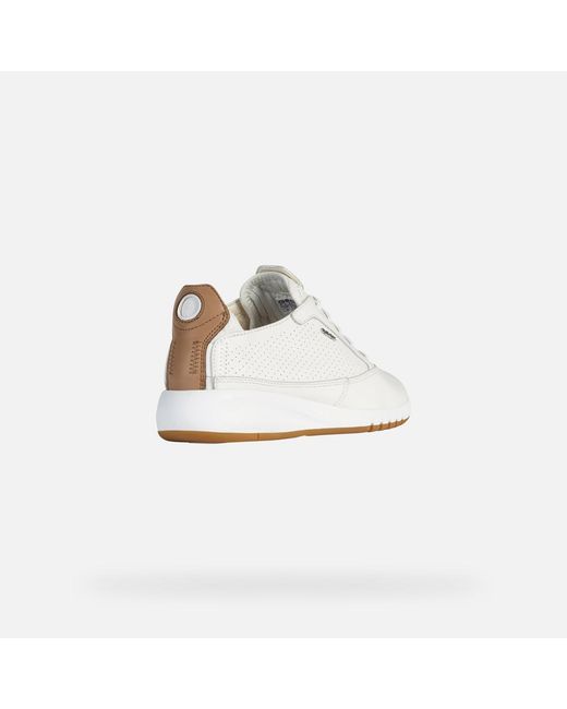 Geox White Aerantis
