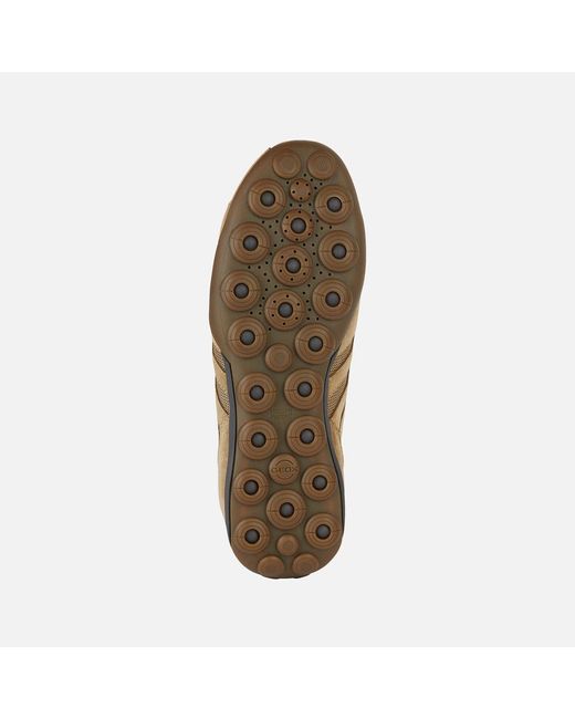 Geox Schuhe Snake 2.0 in Brown für Herren