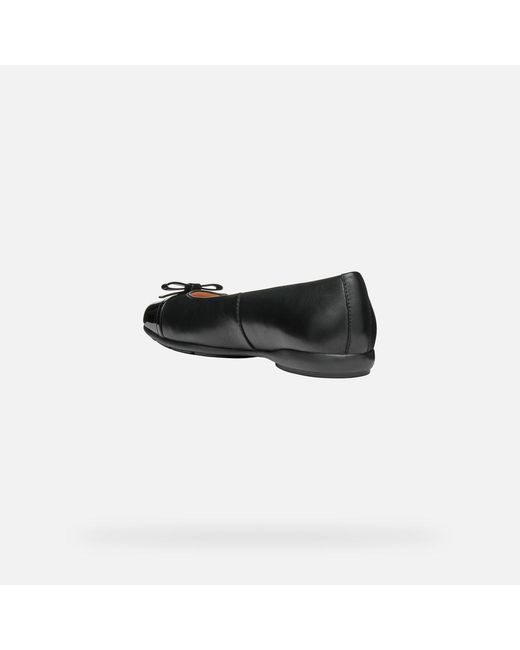 Geox Black Annytah