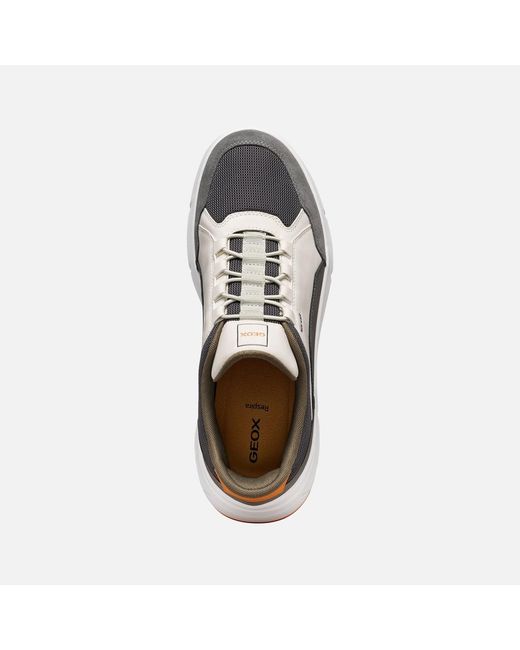 Geox Multicolor Vittour Plus Off/Dark for men