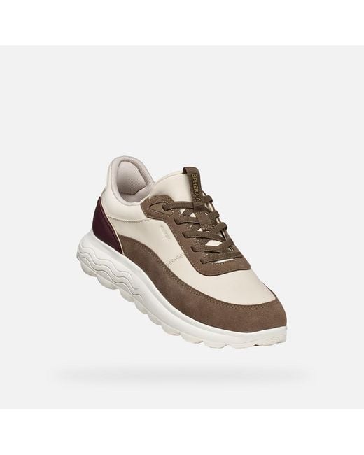 Geox Multicolor Spherica Plus Papyrus/Taupe