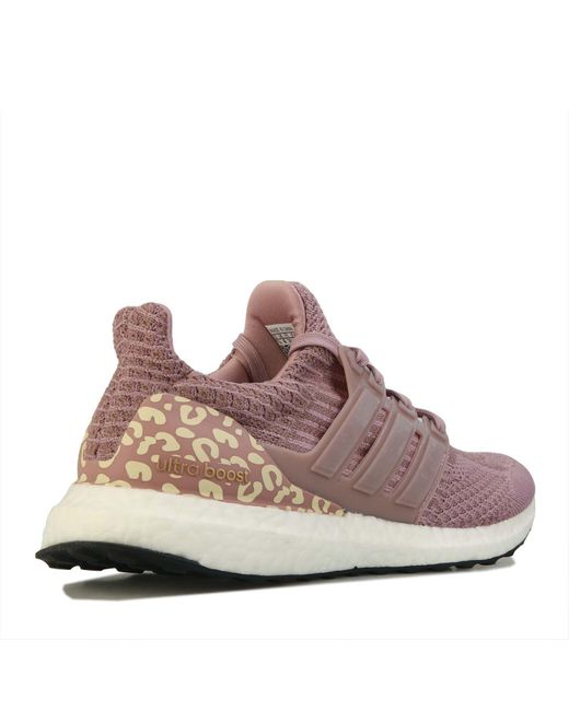 Adidas Brown Ultraboost 5.0 Dna Running Shoes