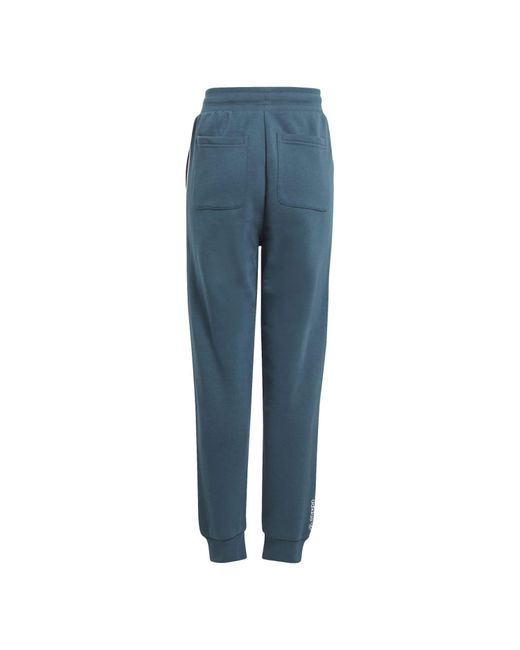 Adidas Originals Blue Adicolor Pants for men