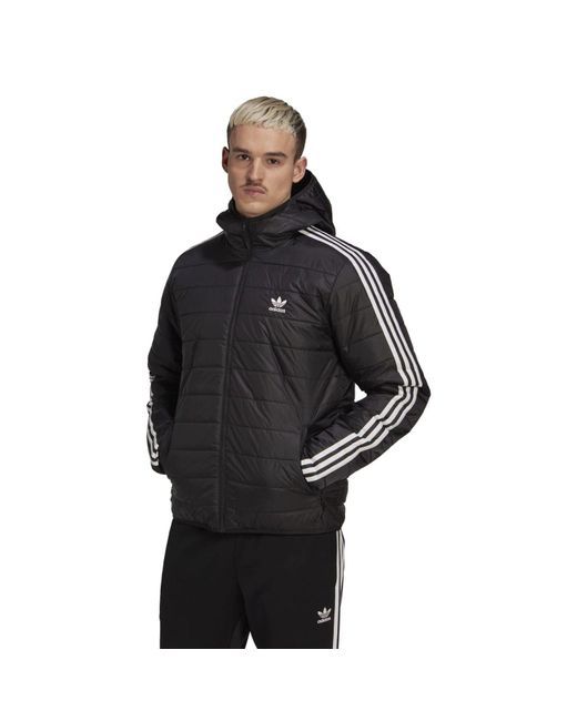 Adidas Originals Black Padded Hooded Puffer Jacket for men