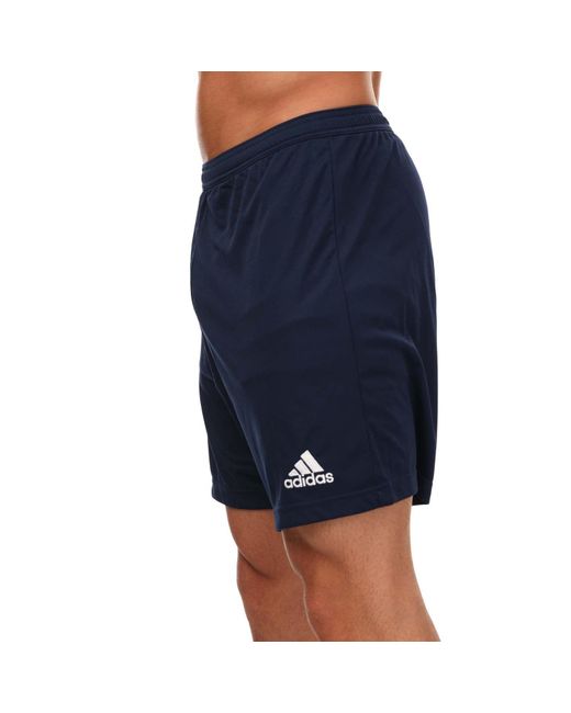 Adidas Blue Entrada 22 Shorts for men
