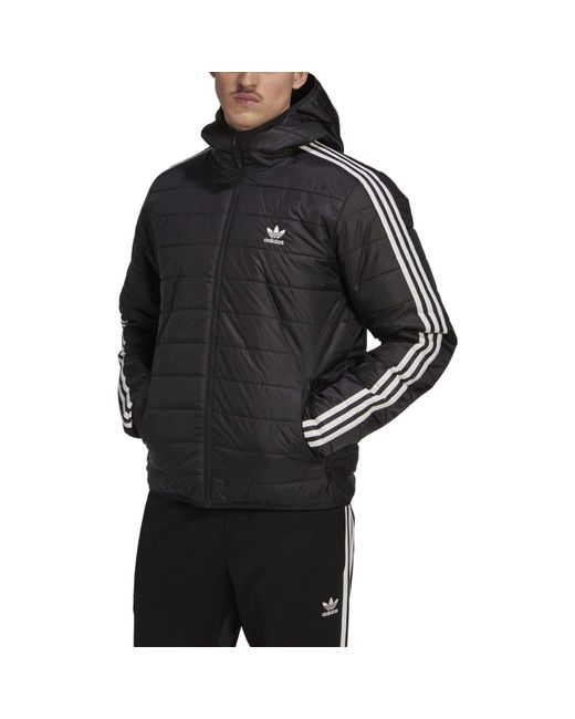 Adidas Originals Black Padded Hooded Puffer Jacket for men