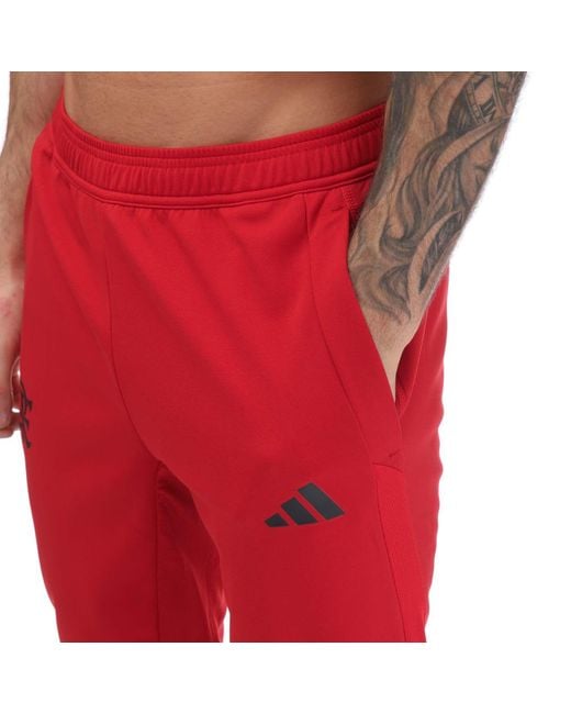Adidas Red Flamengo Tiro 23 Training Pants for men