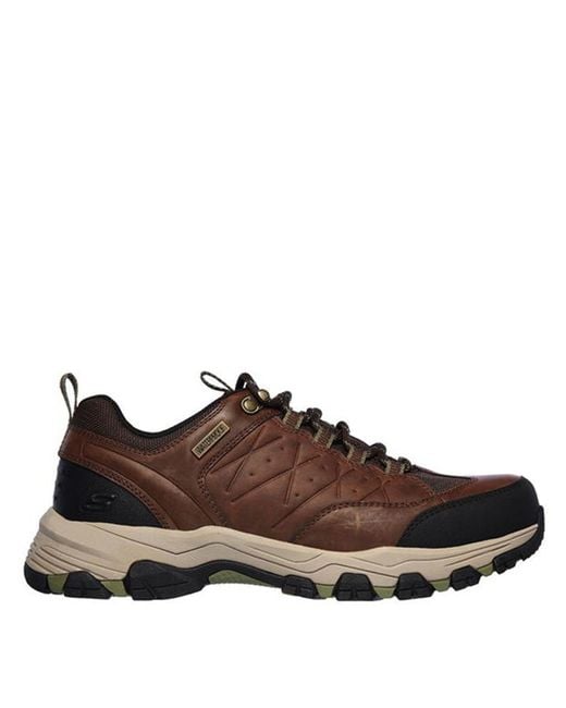 Skechers Brown Helson Waterproof Walking Shoes for men