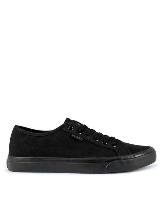 SoulCal & Co California Black Sunrise Laced Canvas Shoes for men
