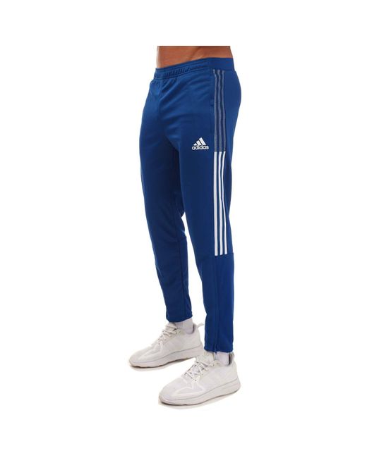 Adidas Blue Footbal Tiro 21 Training Pants for men