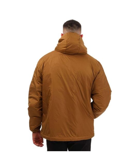 Adidas Brown Essentials Insulated Hooded Jacket for men