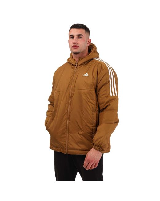 Adidas Brown Essentials Insulated Hooded Jacket for men