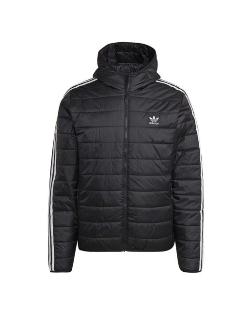 Adidas Originals Black Padded Hooded Puffer Jacket for men