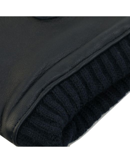Ted Baker Blue Blockk Leather Gloves for men