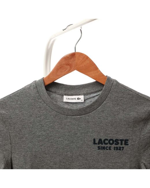 Lacoste Gray T-shirt