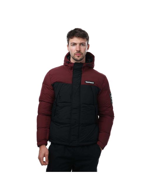 Timberland Red Outdoor Archive Puffer Jacket for men