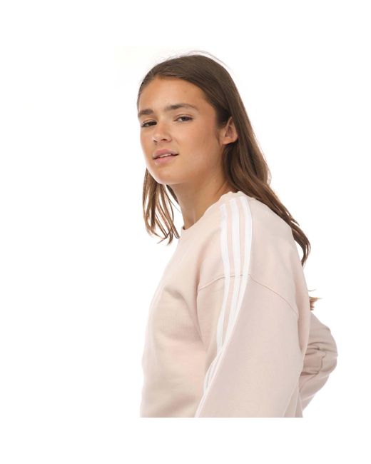 Adidas Natural Essentials 3-stripes Sweatshirt