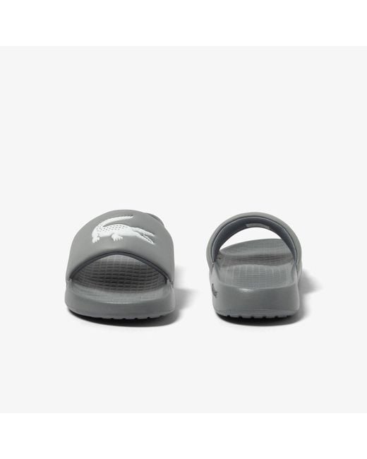 Lacoste Gray Serve 1.0 Sliders for men