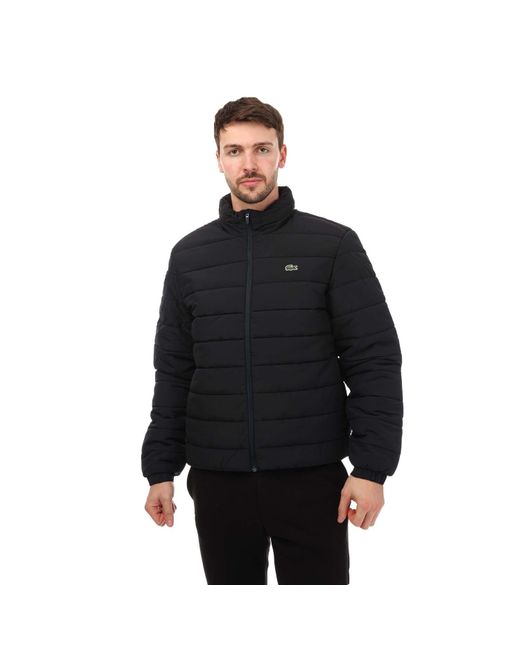 Lacoste Black Hooded Puffer Jacket for men