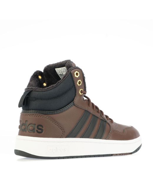 Adidas Brown Hoops 3.0 Mid Winterized Trainers for men