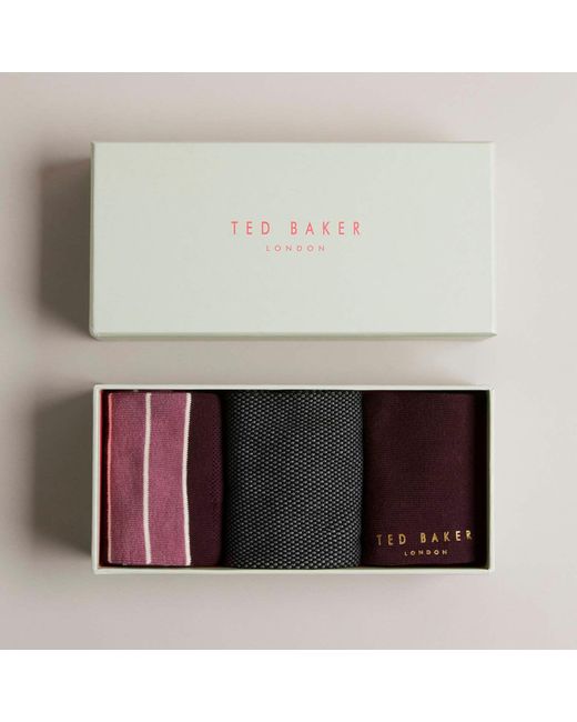 Ted Baker Purple 3 Pack Of Dudes Socks for men