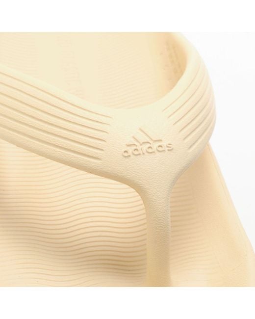 Adidas Natural Strata Flip Flops for men