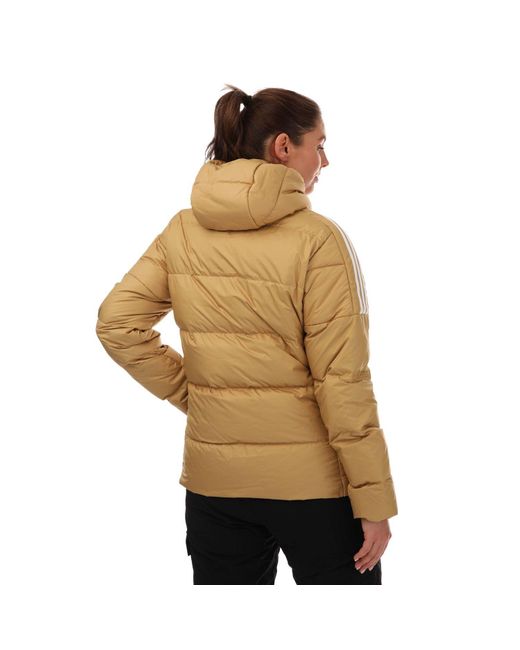 Adidas Natural Essentials Down Hooded Jacket