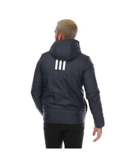 Adidas Blue Hooded Insulated Jacket for men