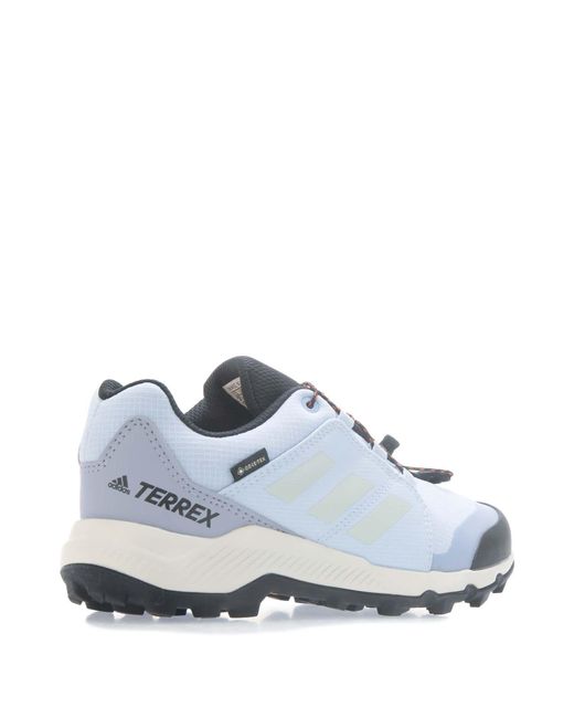 Adidas Blue Kids Terrex Gore-tex Hiking Shoes