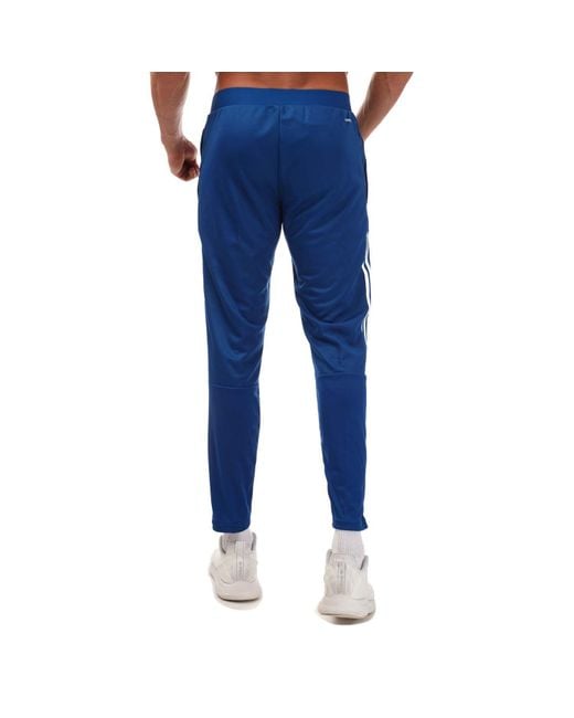 Adidas Blue Footbal Tiro 21 Training Pants for men