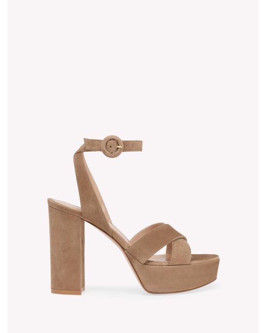Gianvito Rossi Pink Sabrina