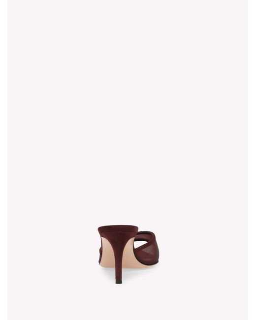 Gianvito Rossi Pink Dorotea Mule 70, Sandals And Mules