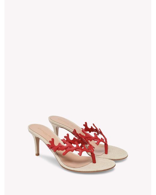Gianvito Rossi Pink Ocean Thong, Sandals And Mules